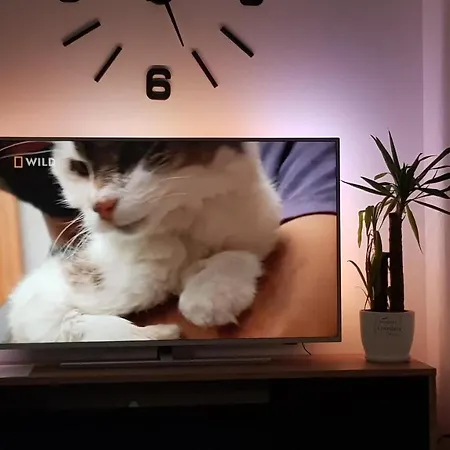 Amik Apartament-night View Wroclaw