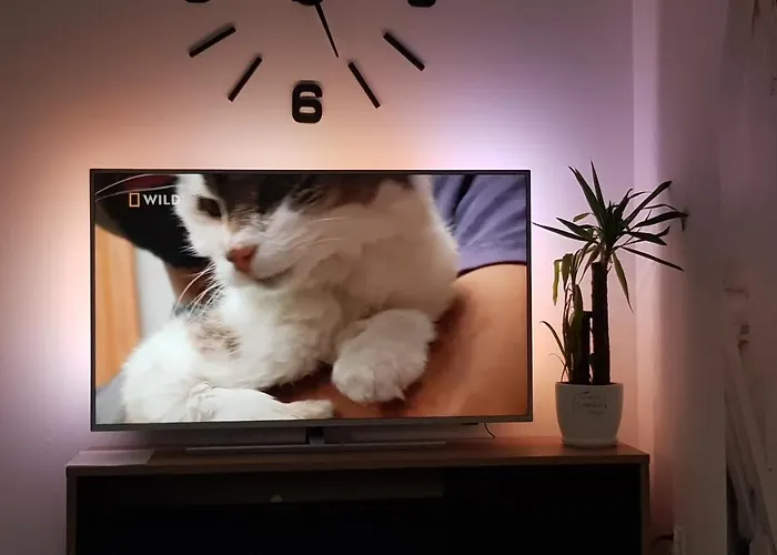 Amik Apartament-night View Wrocław